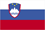 Slovenia flag.